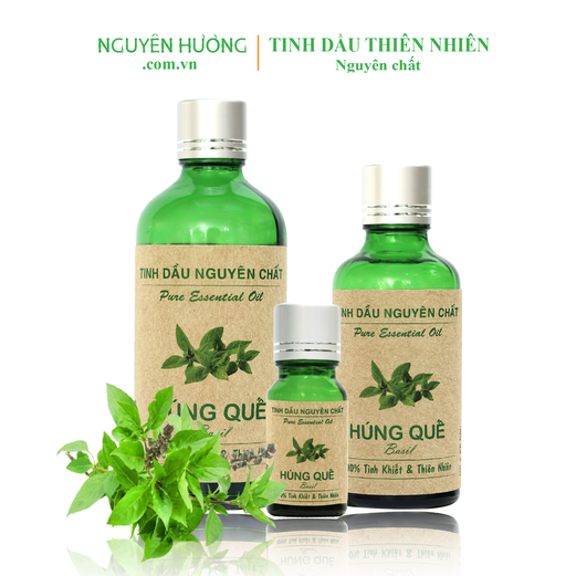 Tinh Dầu Húng Quế Nguyên Hương