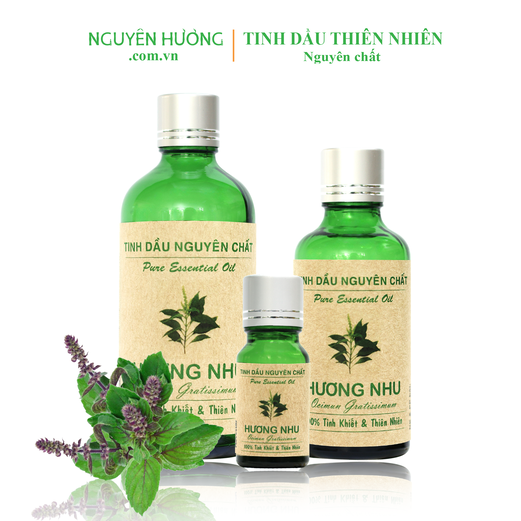 Tinh Dầu Hương Nhu Nguyên Hương