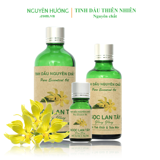 Tinh Dầu Ngọc Lan Tây Nguyên Hương