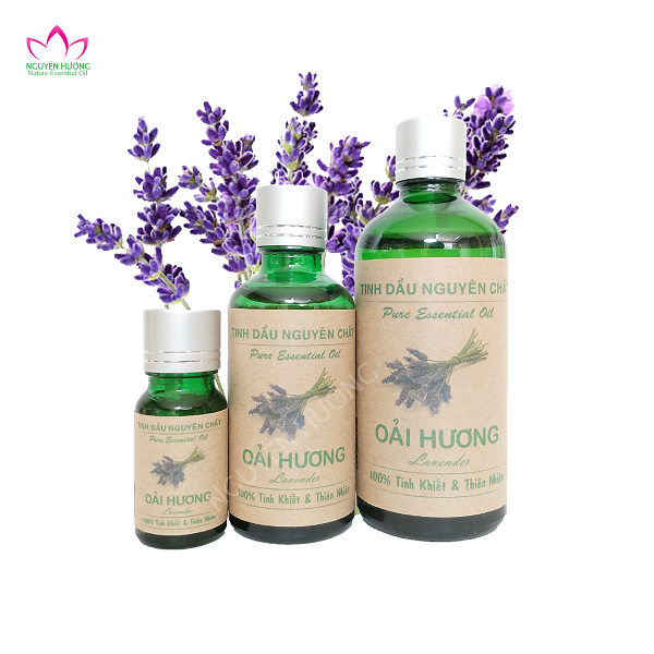 Tinh dầu Lavender là gì? Công dụng của tinh dầu Lavender